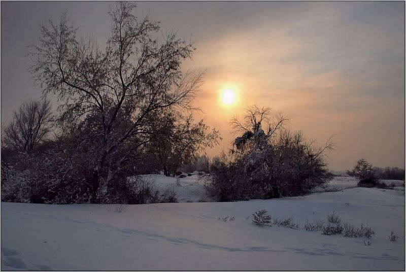 природа Февральским вечерком...photo preview