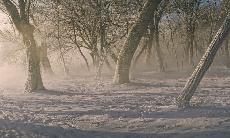 город, парк, зима, БРОСАЯ ВЗГЛЯД  НА ВРЕМЯ ГОДАphoto preview