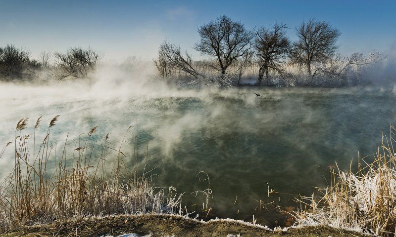 РЕКА ЖИВЕТphoto preview