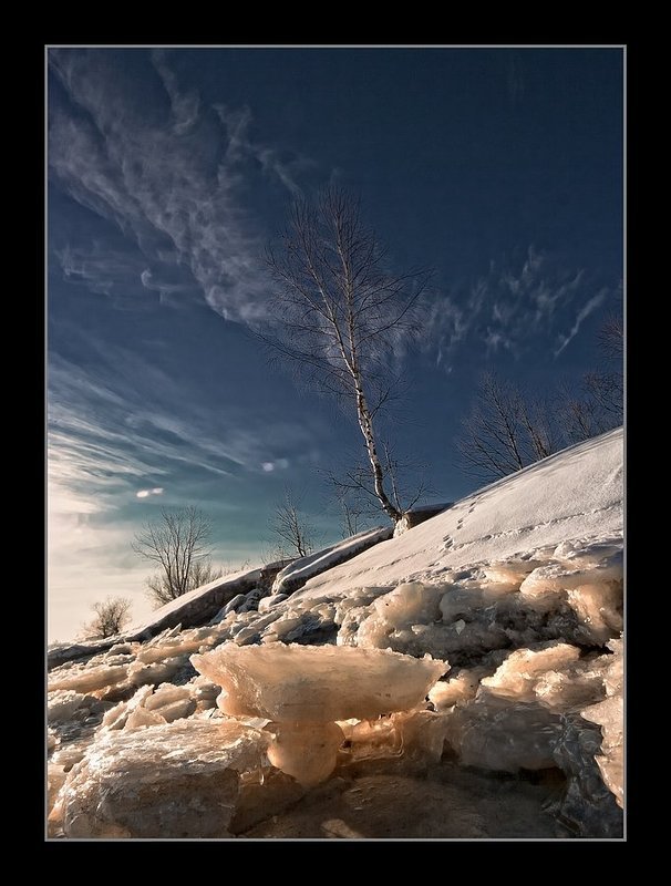 стойкие...photo preview