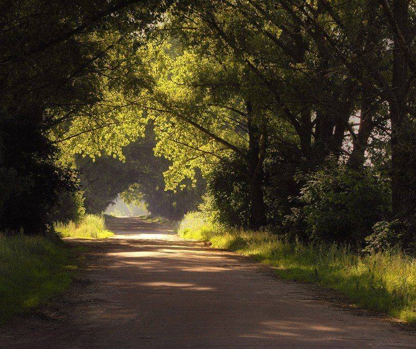 , Александр