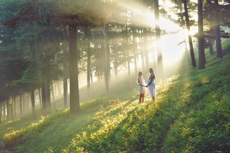 девушки, девушка, сестры, беременность, мама, дочь, солнце, лес, туман, деревья, лучи, girl, girls, sisters, mother, daughter, pragnancy, sun, rays, fog, forest, trees Following the morning sunphoto preview