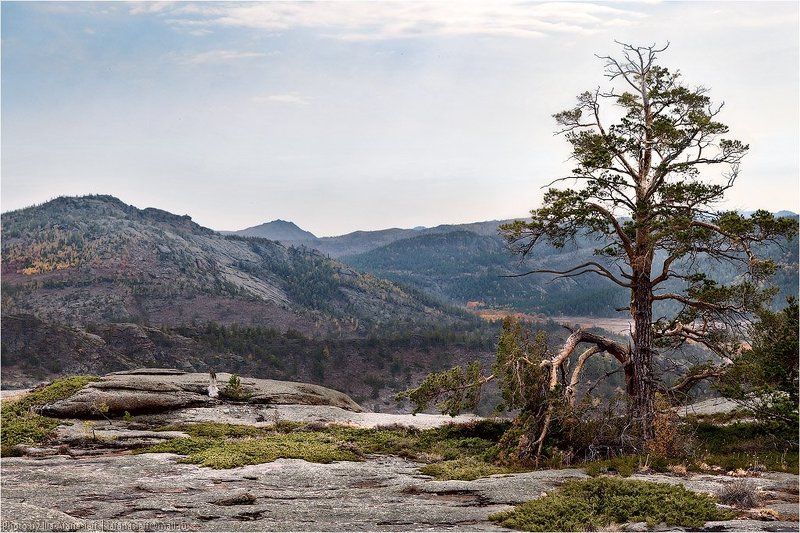 2011, karaganda region, kazakhstan, kent, mountains, photo safari, photo-safari, september, горы, казахстан, кент, осень, сентябрь, фотосафари Горы Кент в сентябре 2011 г. (завершающий разбор)photo preview