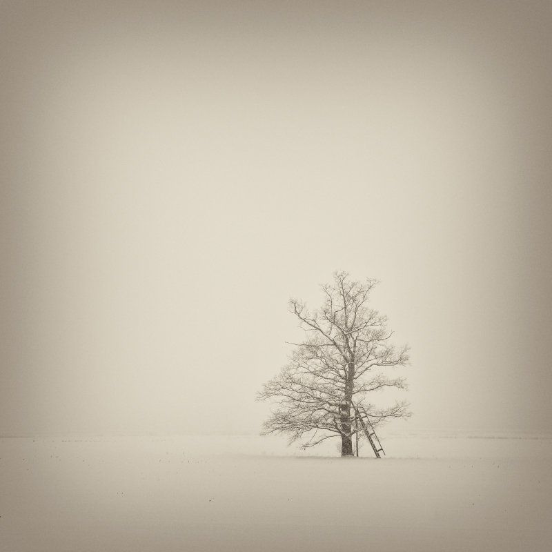 Про одиночествоphoto preview