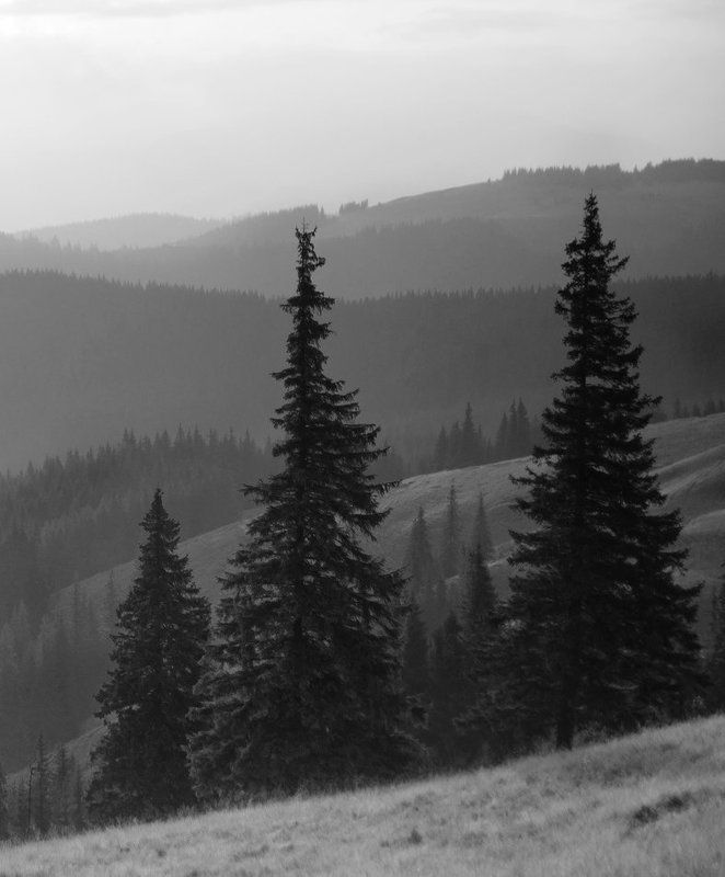 природа, пейзаж, панорама, карпаты, вечер |||||photo preview