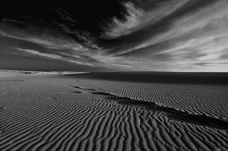 куршская, коса В параллельном мире фото превью