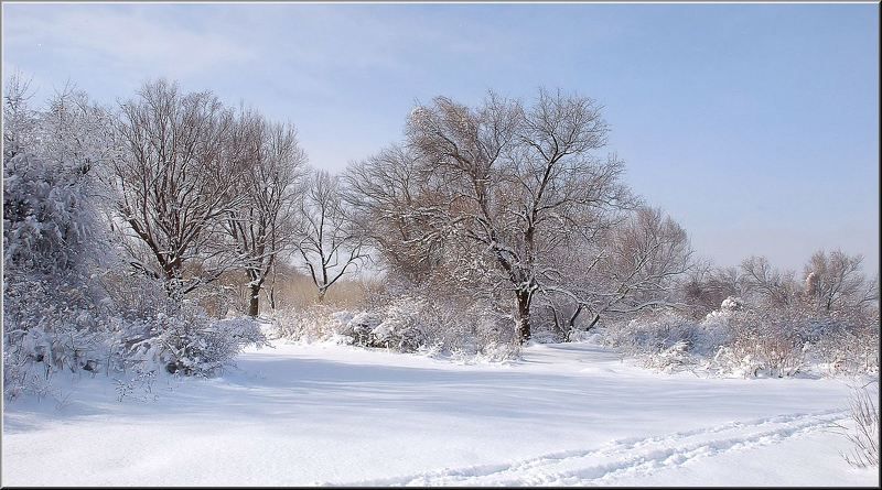 природа ***photo preview