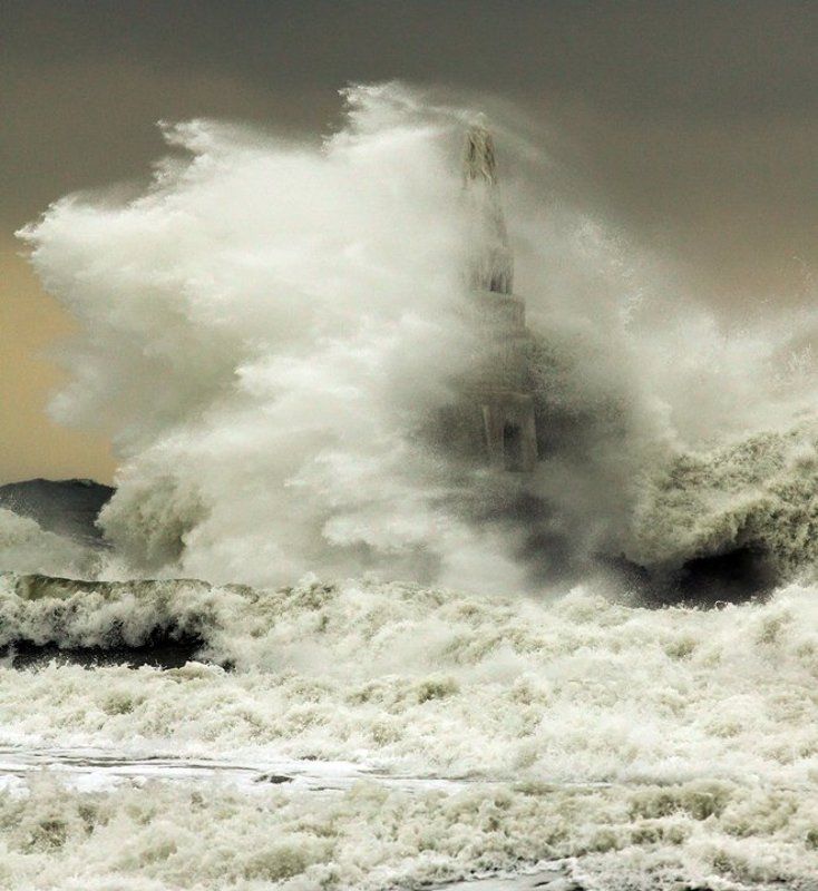 Force of Naturephoto preview