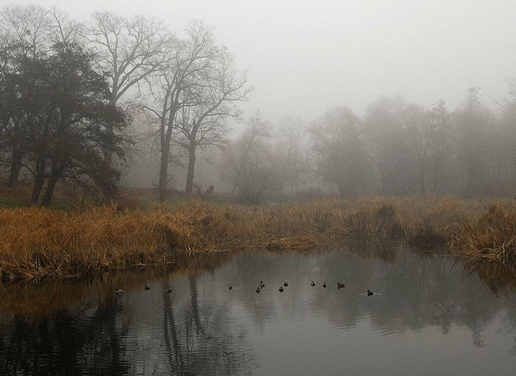 , Александр