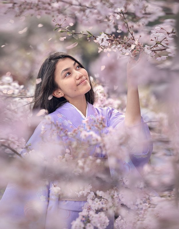 САКУРАphoto preview