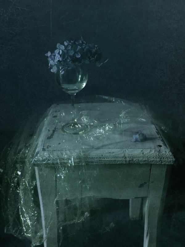 Гортензияphoto preview