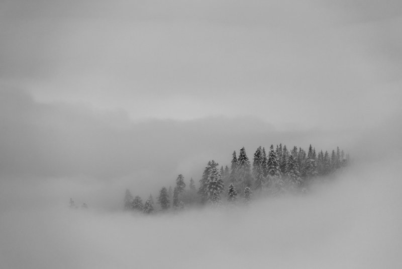 landscape winter mountains snow fog photography photo canvas wallpaper nature trees frame view  Winter in the Vladeasa Mountains. photo preview