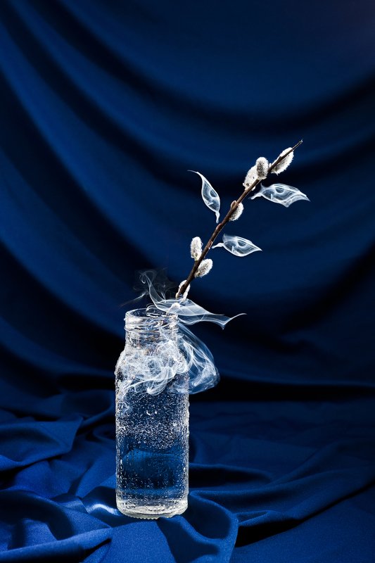 натюрморт, весна, still life, spring, дым, вербы, иллюзия Дыхание весныphoto preview