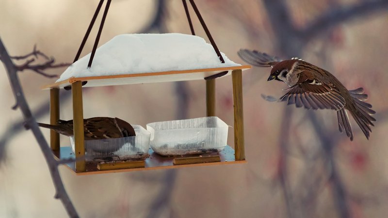 Захожу на посадкуphoto preview