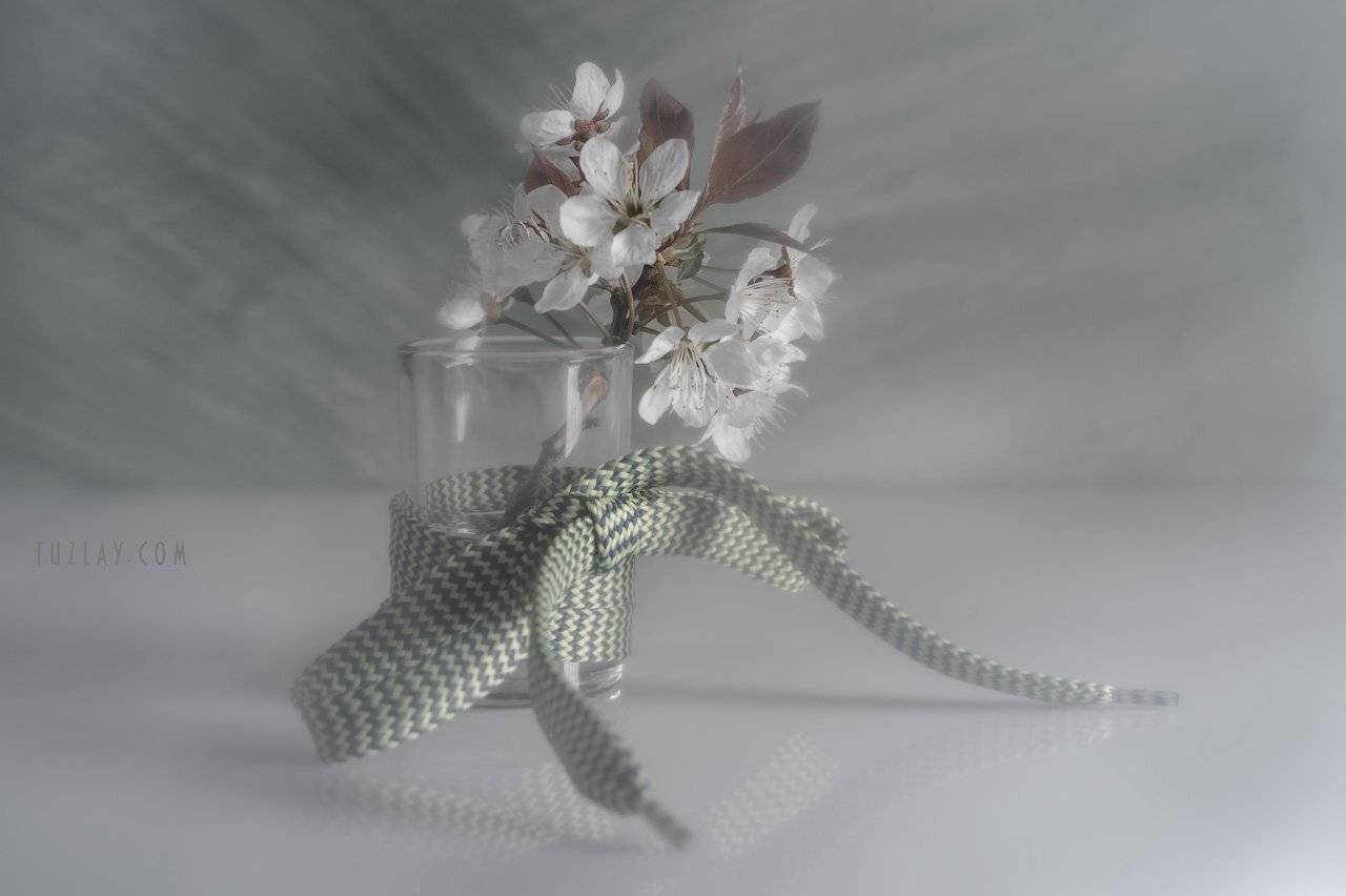 Продолжение про весну в стакане. Автор: Владимир Тузлай весна в стакане, белый цветки, цветки сливы, шнурок, Владимир Тузлай