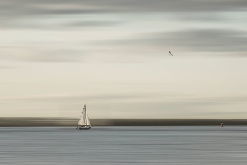 Прогулки на яхтеphoto preview