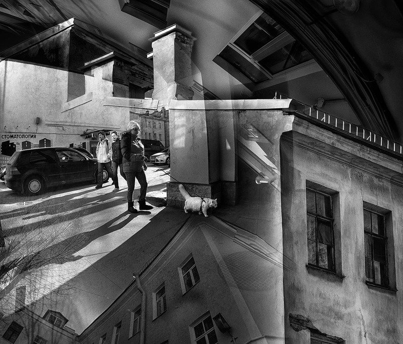 питер, дворы, кот За угломphoto preview