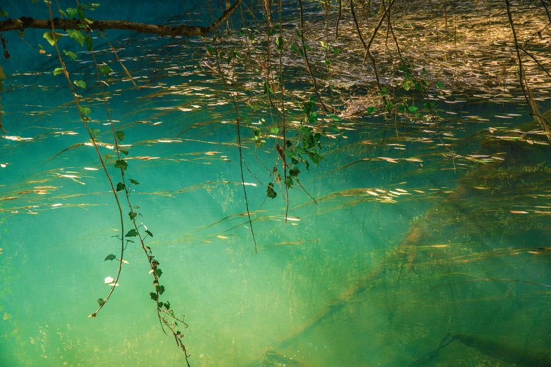 sony a6000 ...photo preview