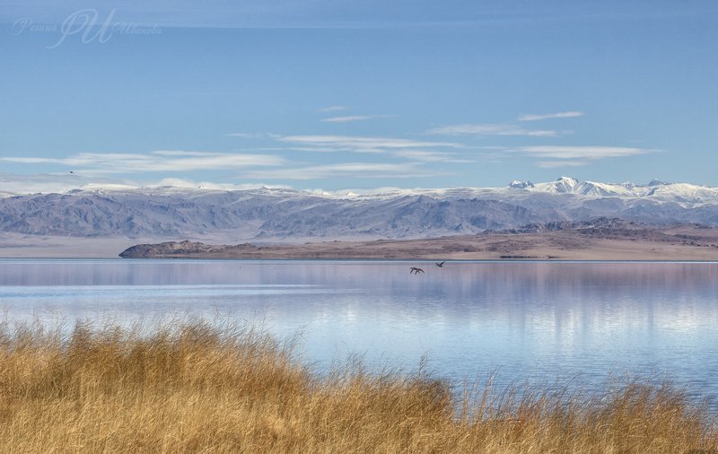 Осенний Ачит-Нуурphoto preview
