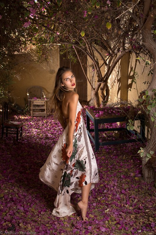 Portrait in the yard covered with Bougainvillea petalsphoto preview