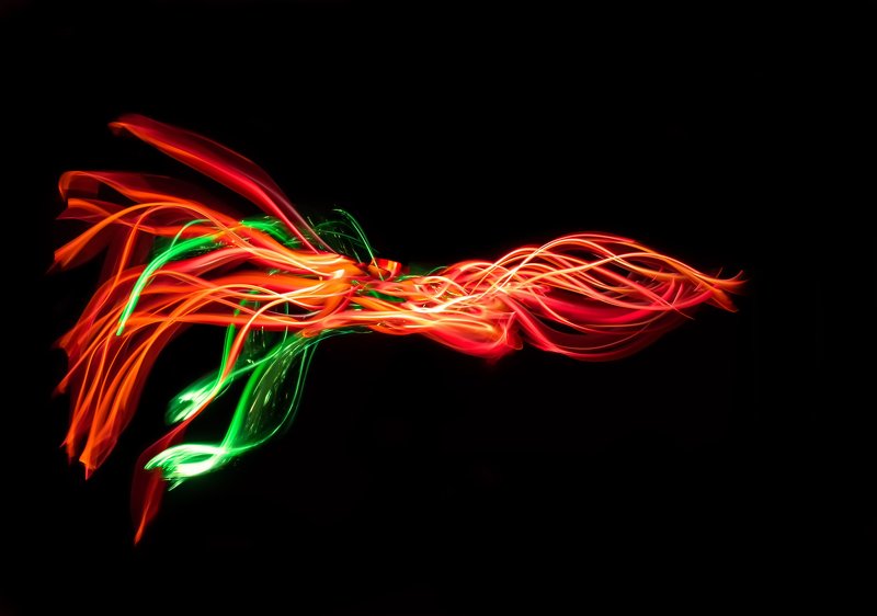 lightpainting, lightart, longexposure, nightphotography, light, night, lightblade Light Squid.photo preview