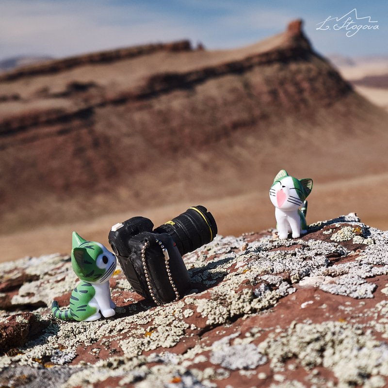 путешествие, хакасия, кошки Кошки в путешествии по Хакасииphoto preview