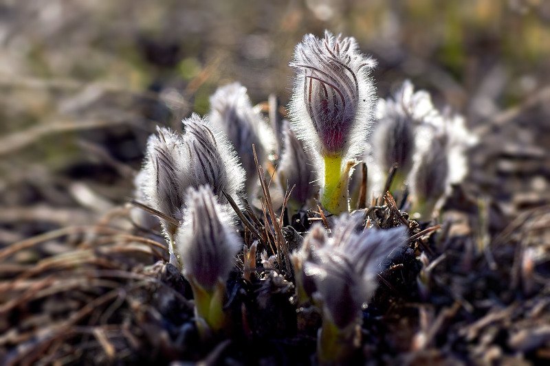 башкирия, южный урал, урал, орск, новотроицк, талкас, гадельша, сибай, зилаир. баймак, юлдыбаево, озеро талкас, водопад, водопад гаделша, пейзаж, лето, осень, качурин, зима, весна, ковыль Время Первых!photo preview