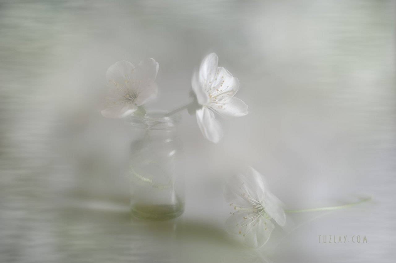 , Владимир Тузлай