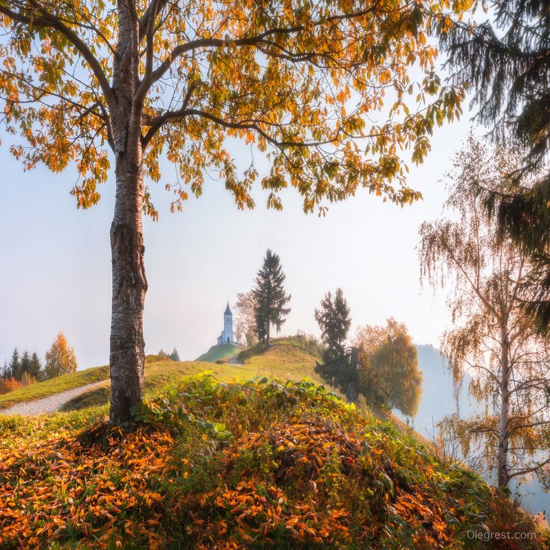 Очей очарованьеphoto preview