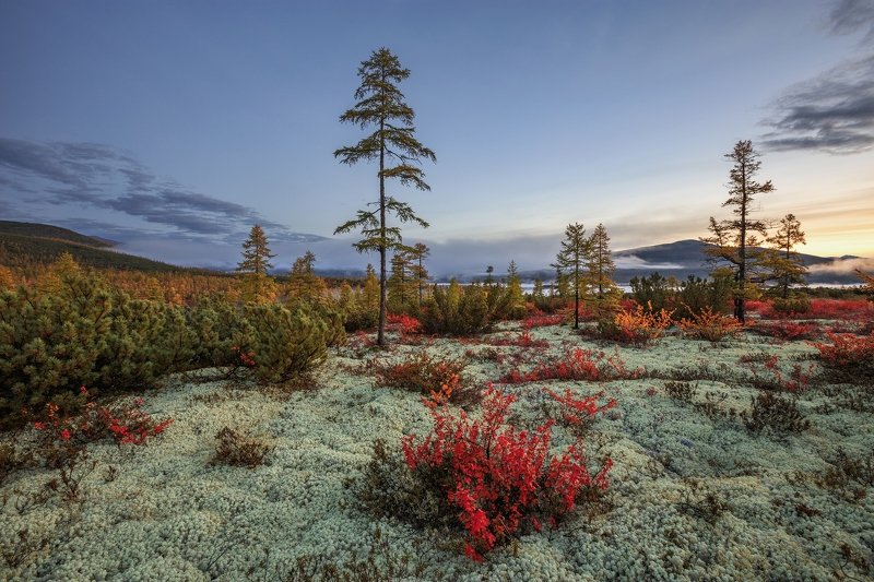 2018, россия, колыма, утро, осень, краски, горы, лиственницы, мох, туман ***photo preview