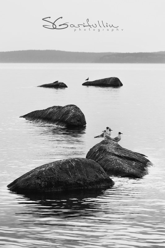 Верх-Исетский пруд, Екатеринбург, чб Каменная дорожкаphoto preview