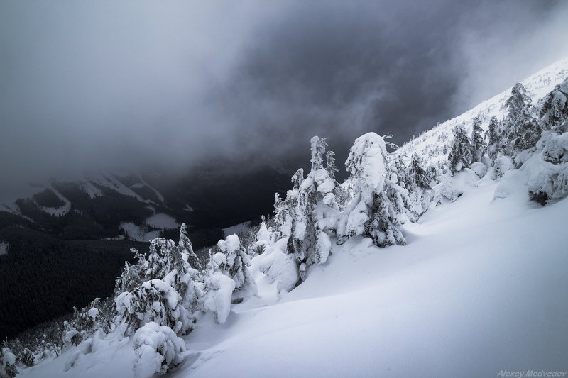 карпаты, украина photo preview