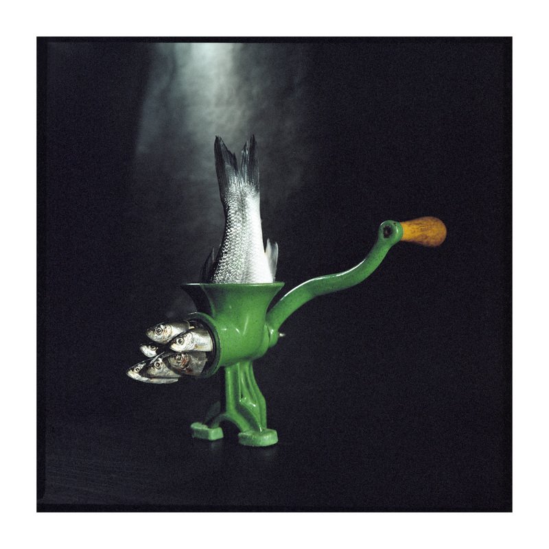 Film, analogue, art, fish, miracles, ironic, series, surrealism Maxina Ex Deo (Triptych)photo preview