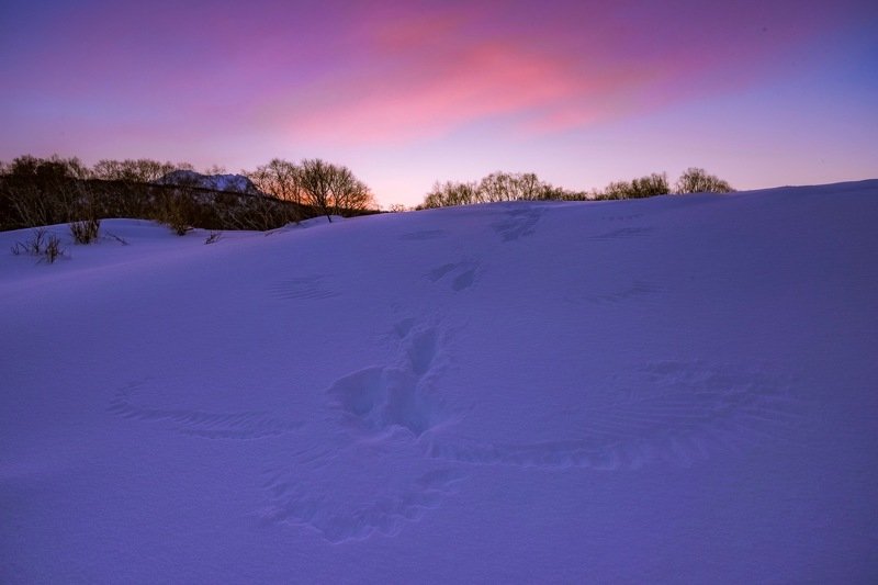 закат Следы взлёта.photo preview