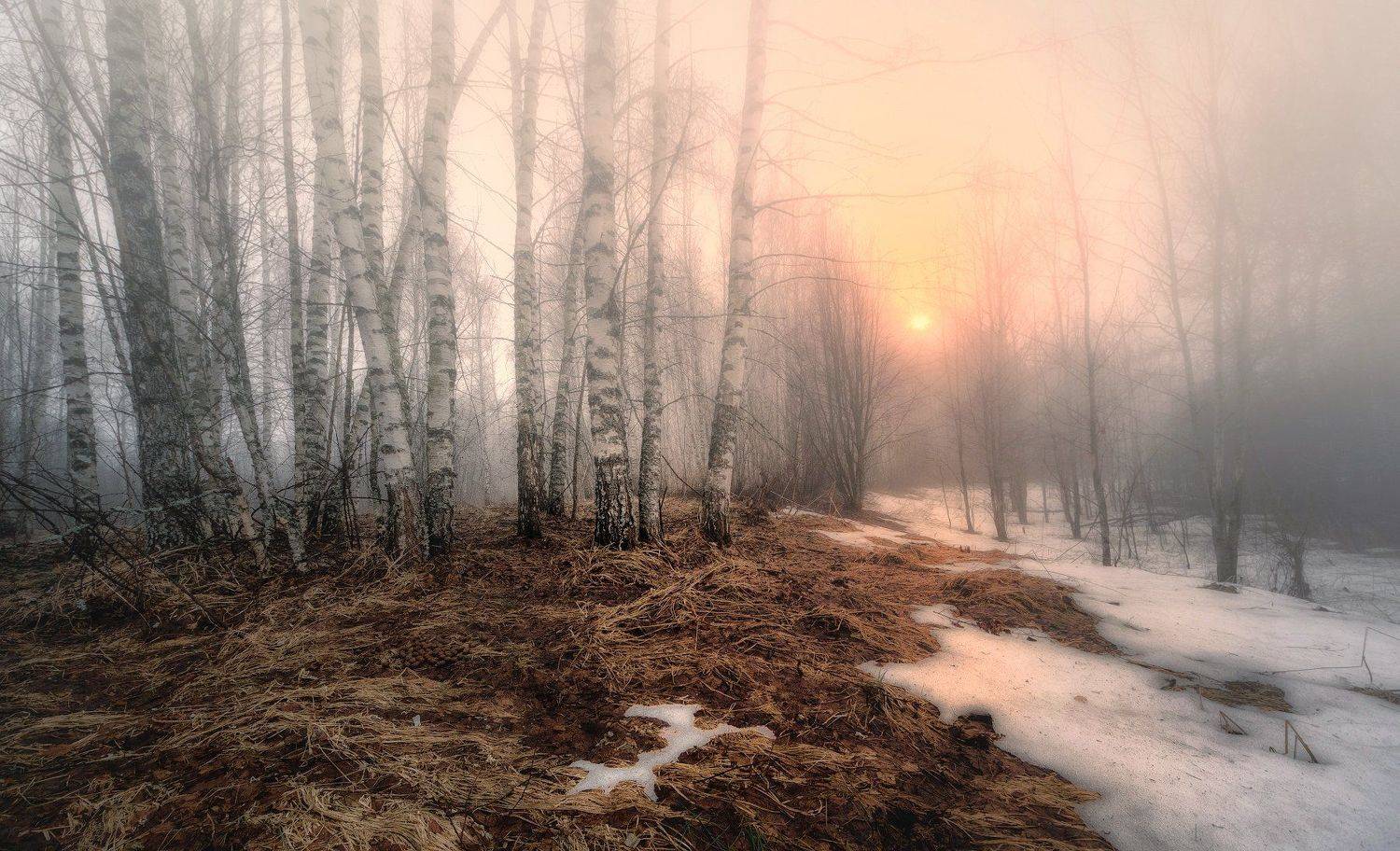 , Сергей (Bekr)