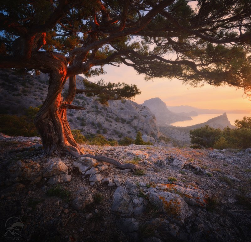 пейзаж, природа, море, крым, утро Новый Светphoto preview