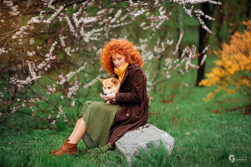 девушка, рыжая, весна, корги, собака, зелень Рыжая весна фото превью