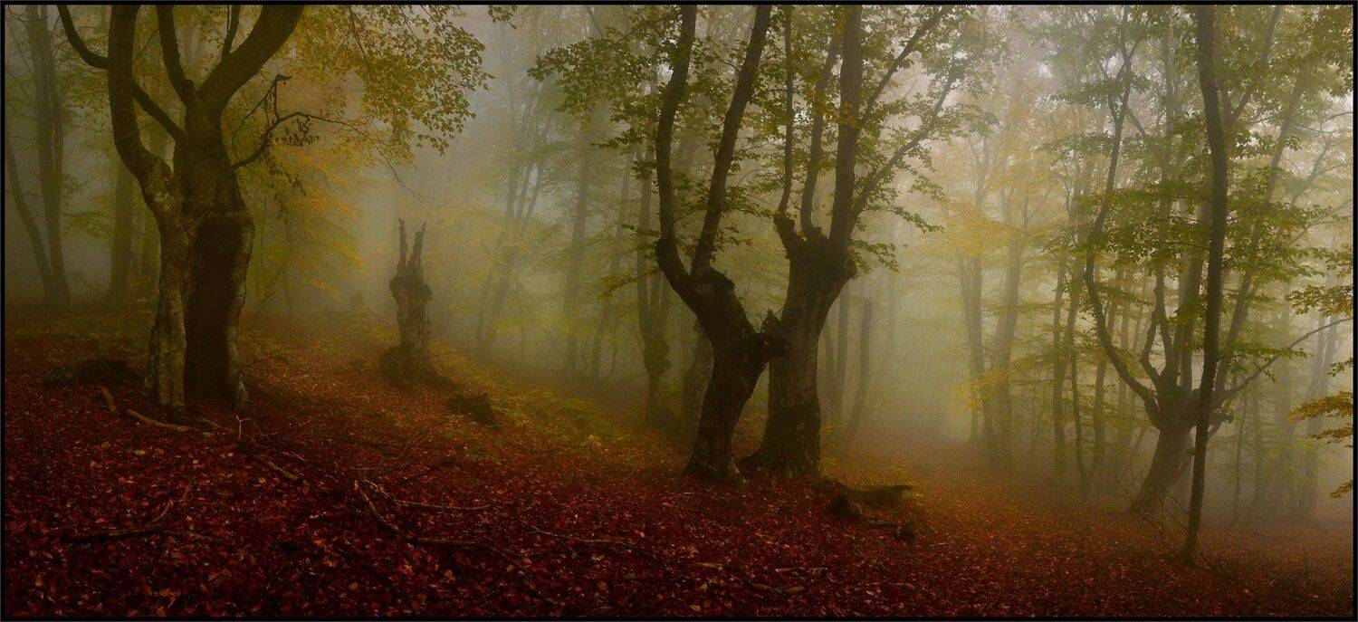 Автор: Владимир Метцгер , Владимир Метцгер