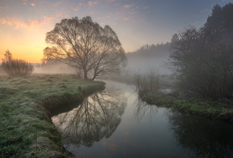 Утро...photo preview