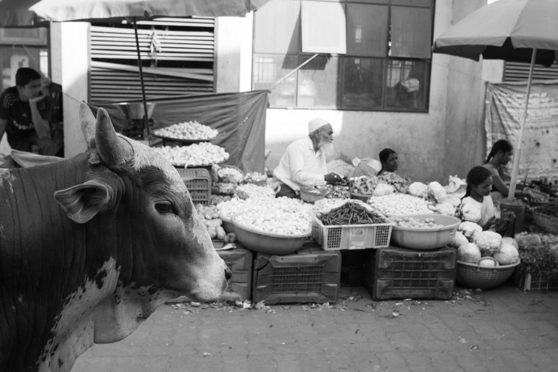 индия, жанр, стрит, india, street, genre, travel, estet mf, saratov, саратов, гоа, goa, indian market Indian marketphoto preview
