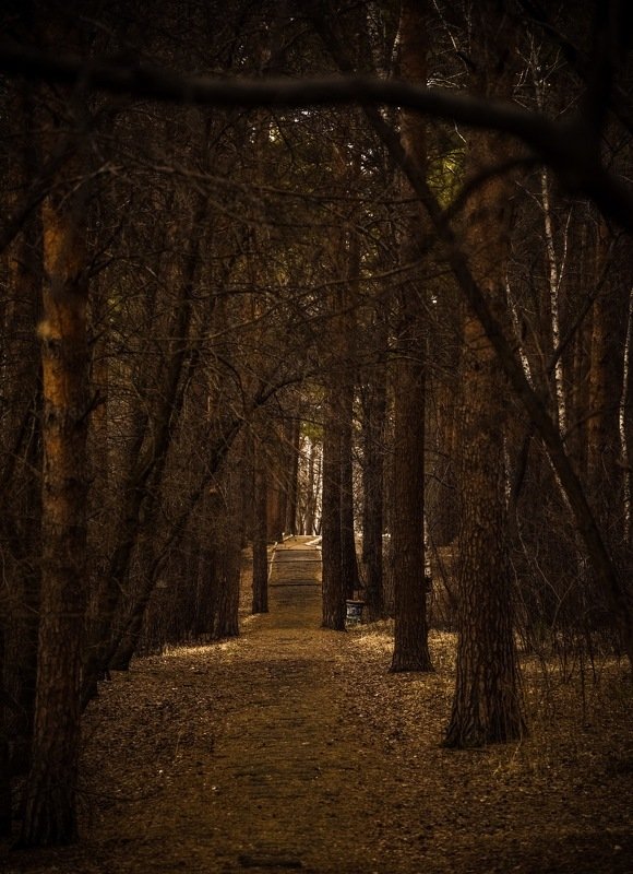 Тропинкаphoto preview