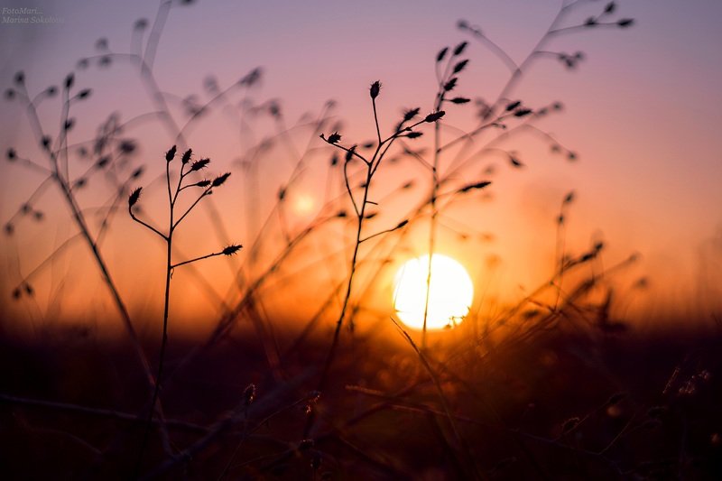 На закате...photo preview