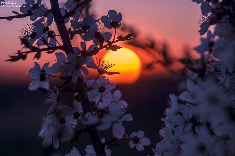 Вчерашний хакат...photo preview