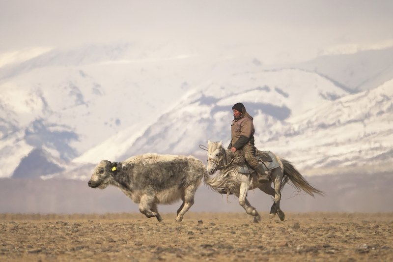 пастух ПАСТУХ ПО АЛТАЙСКИphoto preview