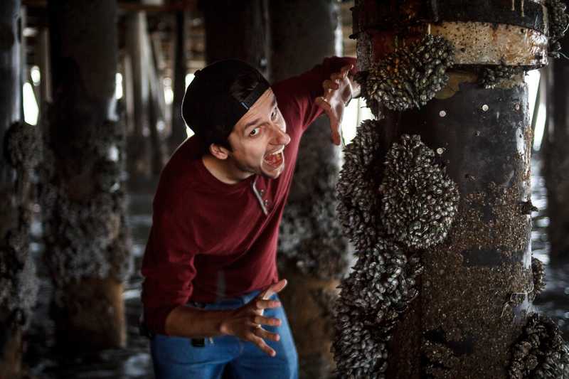 venice, santa monica, beach, Musselsphoto preview