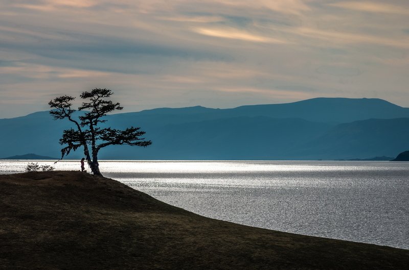 сибирь, озеро байкал, остров ольхон, дерево, лиственница, древо желаний, ник васильев Древо Желаний. Мольба.photo preview