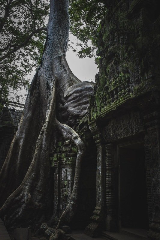 Камбоджаphoto preview