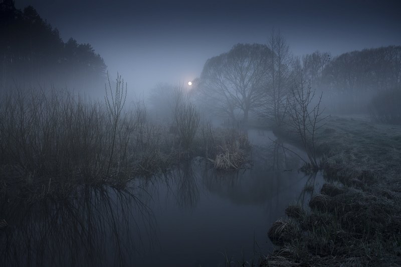 Лунная ночь в Апреле...photo preview