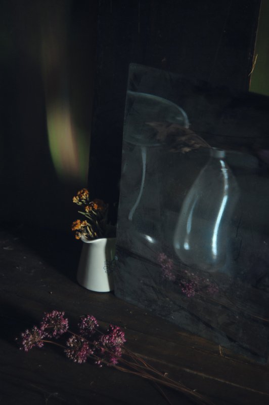 Дикий лук фото превью