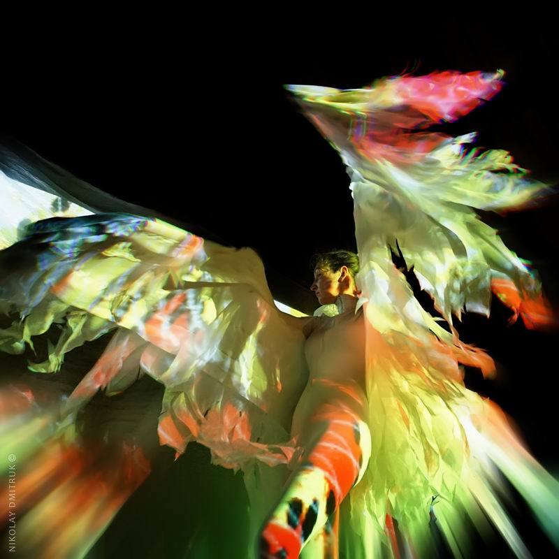 портрет птица. солнце Маориphoto preview